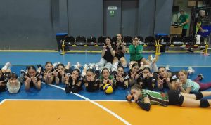 messiniakosaoakritaspanigirikineanidwn